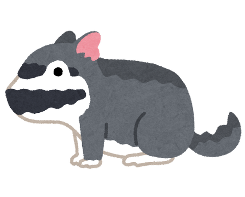 コラッタの進化系 ラッタ ラッタの進化系は スマブラ屋さん スマブラspまとめ攻略