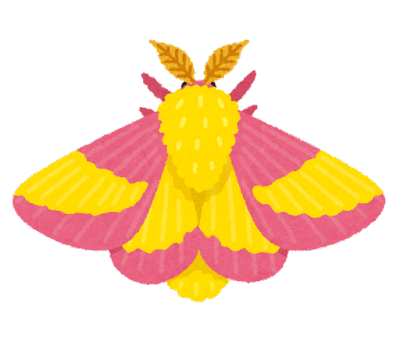 bug_rosy_maple_moth