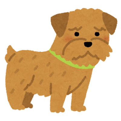 dog_norfolk_errier