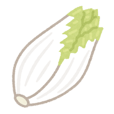 vegetable_chikori