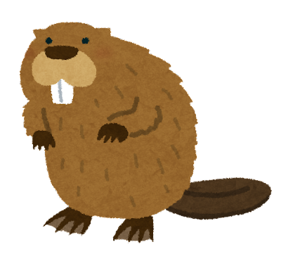 animal_beaver