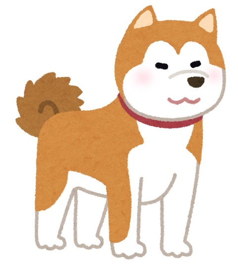 dog_akitainu
