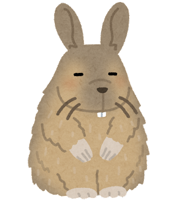 animal_viscacha