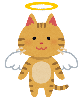 pet_angel_cat