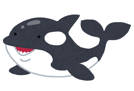 animal_shachi_killer_whale