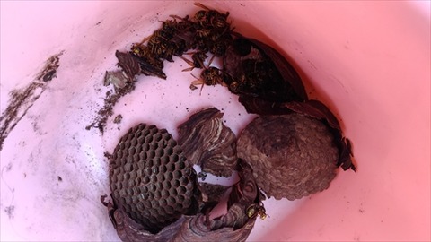 P_20170721_133937_vHDR_On_R