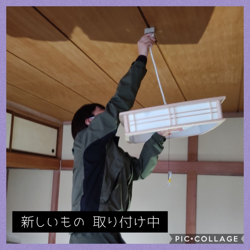 Collage 2020-11-17 08_13_58