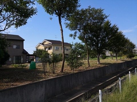 IMG_20180906_141435_R