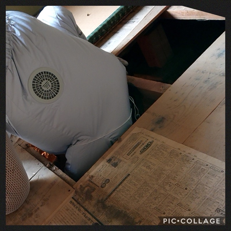 Collage 2020-10-08 08_40_17