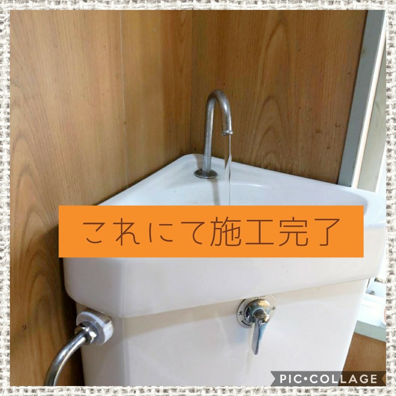 Collage 2020-02-01 09_54_14