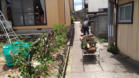 P_20170612_113833_vHDR_On_R