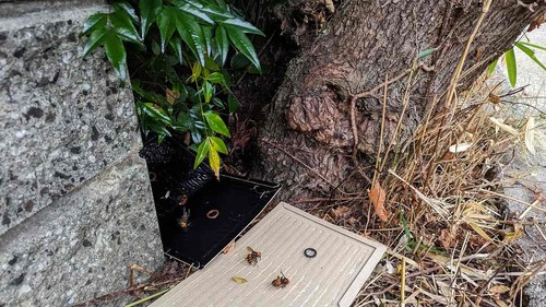 PXL_20230824_054427327