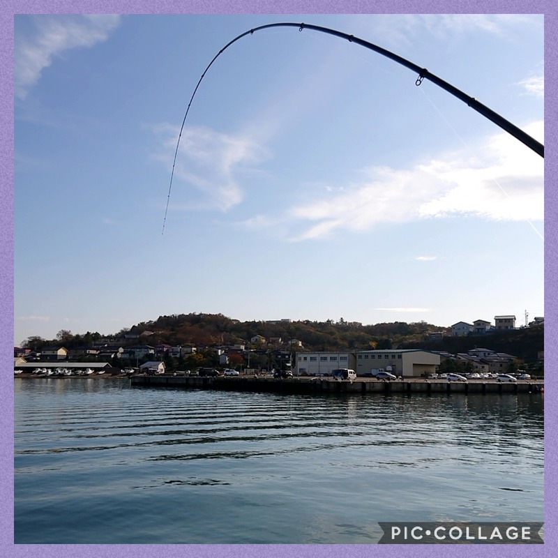 Collage 2020-11-18 21_37_07