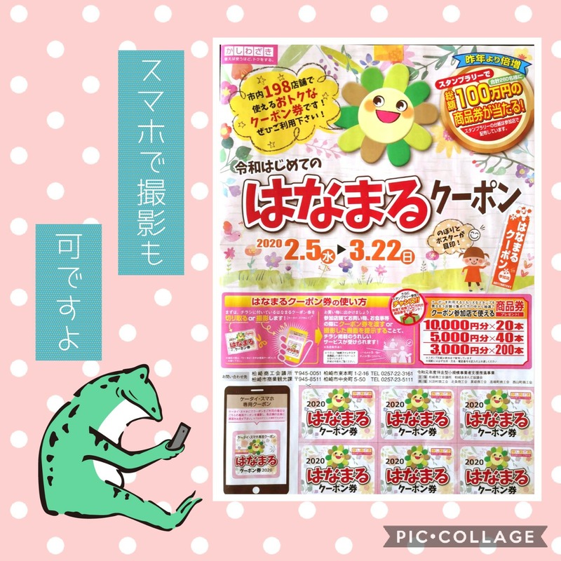 Collage 2020-02-06 08_14_15