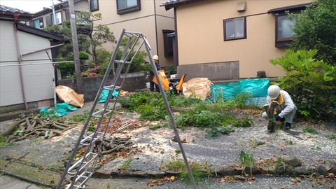 P_20170612_093721_vHDR_On_R