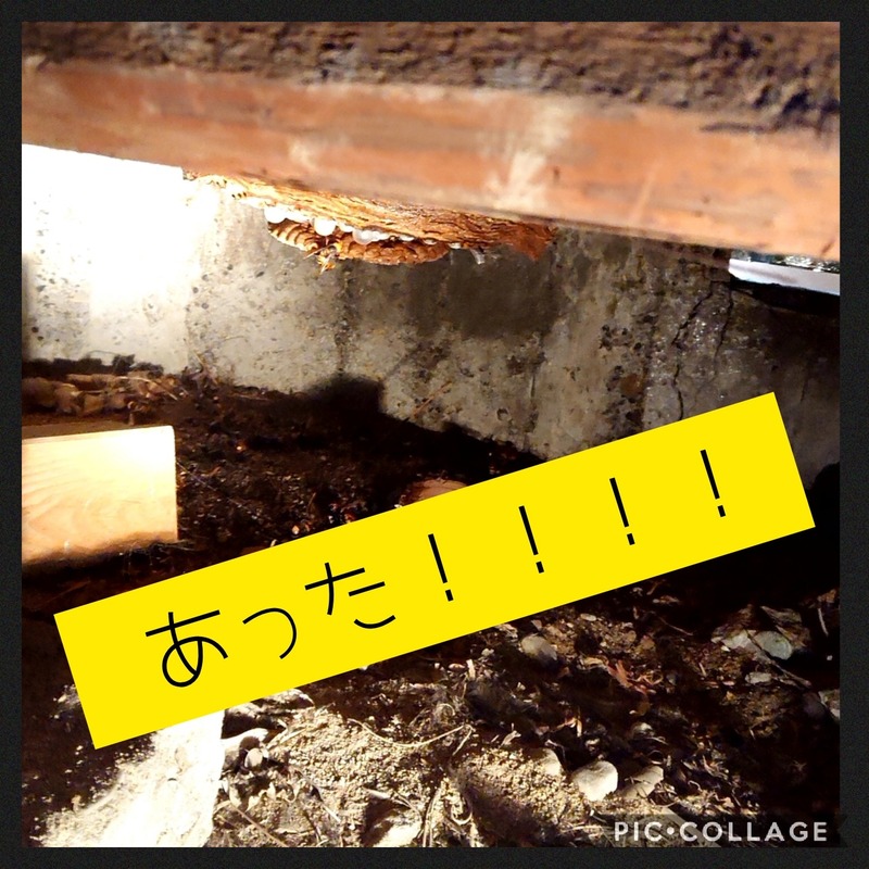 Collage 2020-10-08 08_34_21