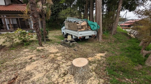 PXL_20240418_053131451