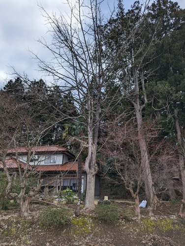 PXL_20240226_070135136 (1)