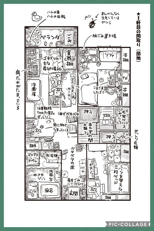 Collage 2020-07-31 21_54_08