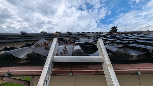 PXL_20240903_071926373