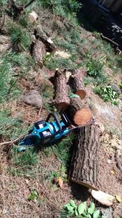 P_20170612_111708_vHDR_On_R