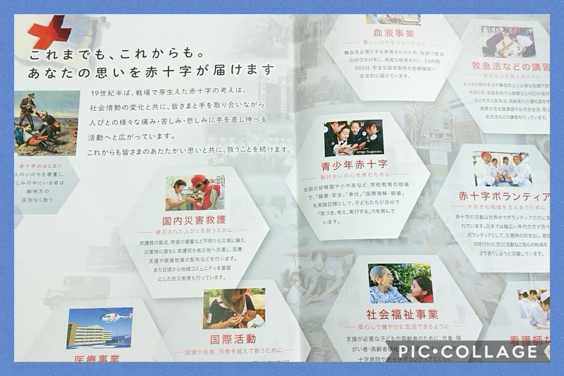 Collage 2020-07-13 08_35_20