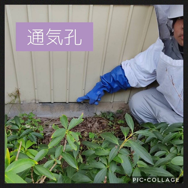 Collage 2020-10-07 09_50_53