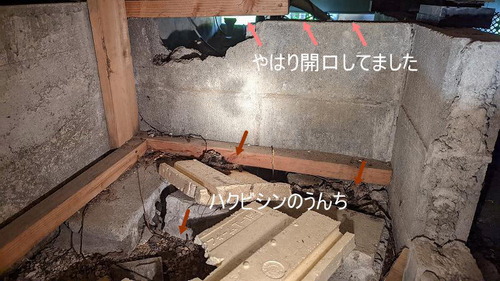 PXL_20220512_062048517