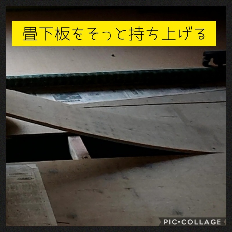 Collage 2020-10-08 21_07_33