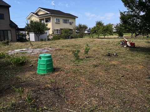IMG_20180906_124504_R