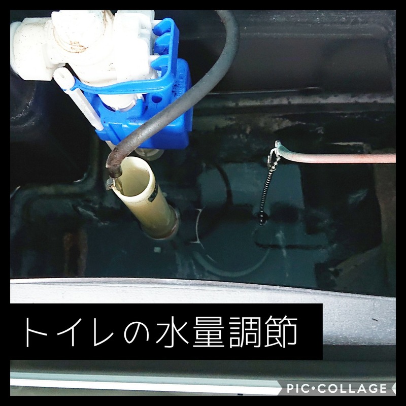 Collage 2020-07-19 20_14_09