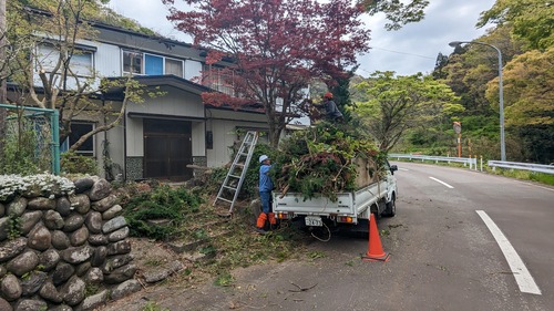 PXL_20240423_023624423