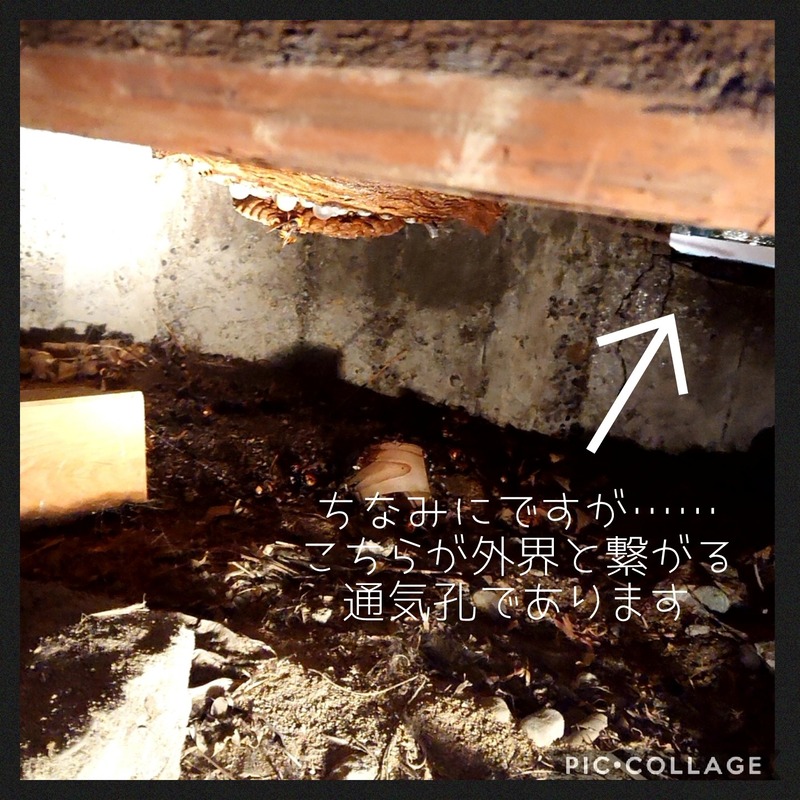 Collage 2020-10-08 08_37_45