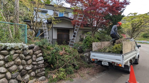 PXL_20240423_013323968