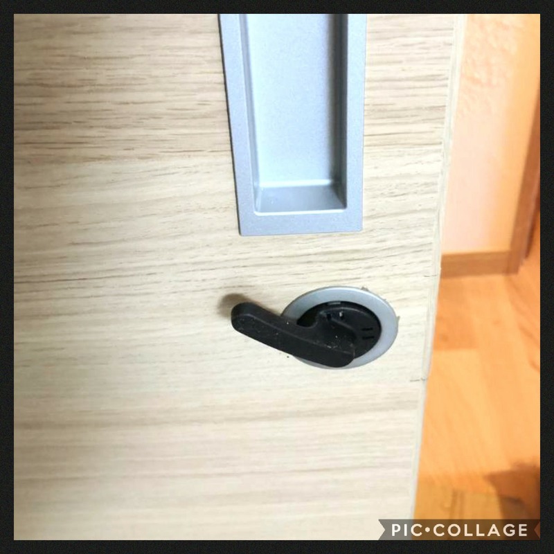 Collage 2020-02-07 08_45_29