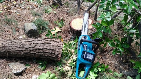 P_20170612_111231_vHDR_On_R