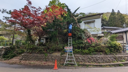 PXL_20240423_003332778