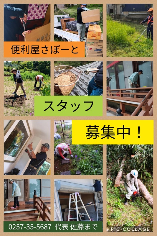 Collage 2020-09-01 11_34_57