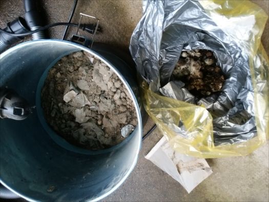 小屋裏にいたハクビシン対策の考察と作業内容の記録 柏崎便利屋さぽーと スタッフブログ