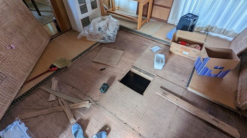 PXL_20220512_062719485