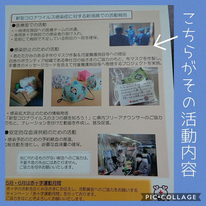 Collage 2020-07-13 08_32_25