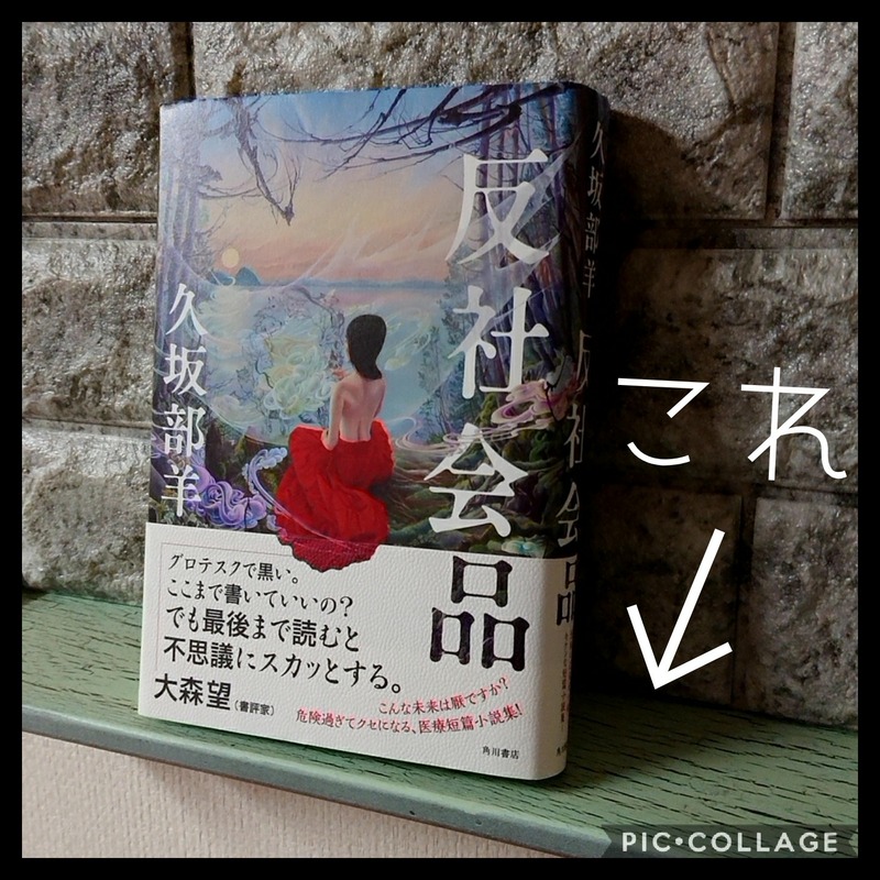 Collage 2020-07-19 21_18_29