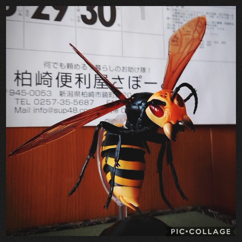 Collage 2020-10-07 19_02_46