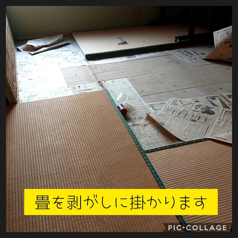 Collage 2020-10-08 08_15_31