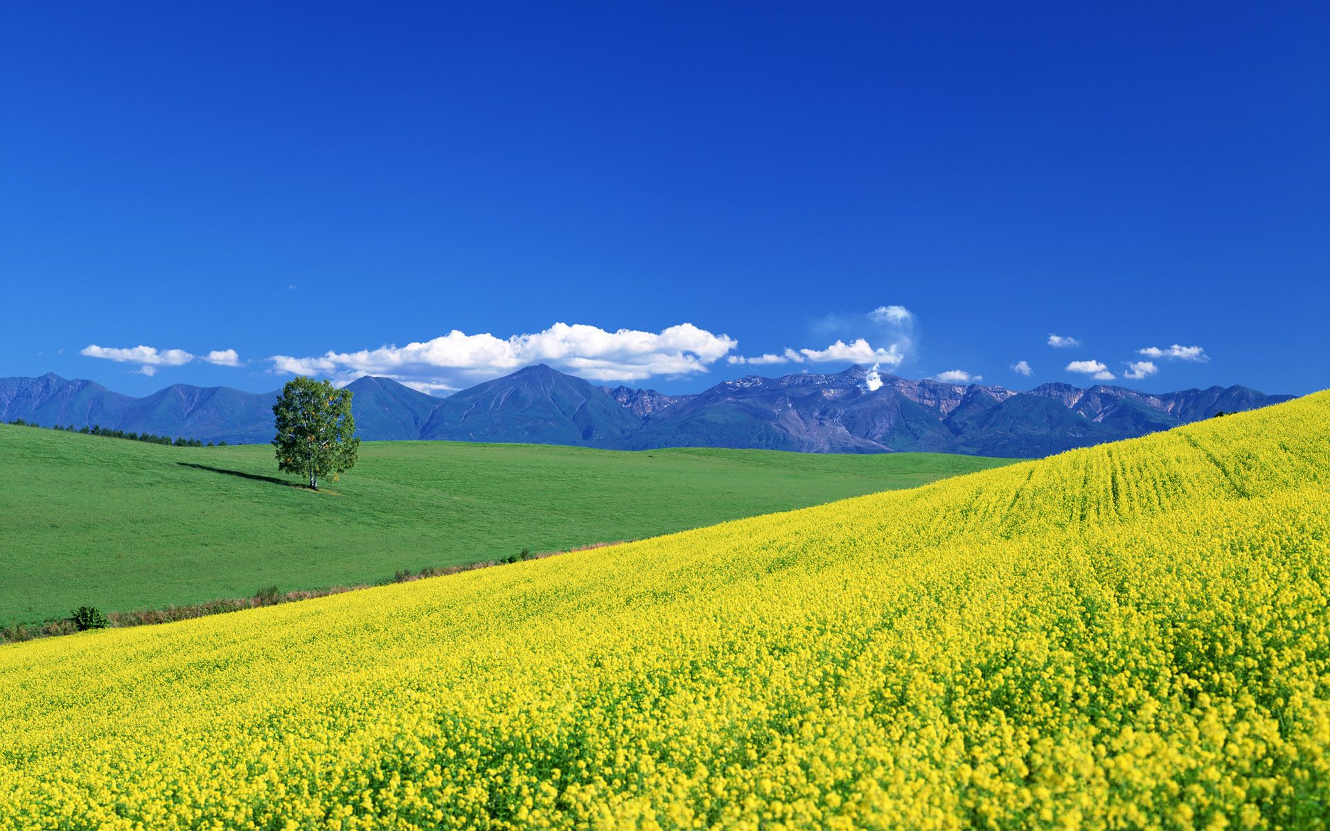 Hokkaido Scenery 北海道 景色 壁紙収録 Hokkaido Scenery 北海道 景色 壁紙収録