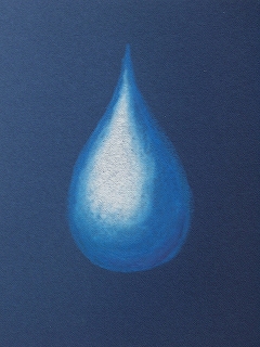 葉月のスケッチブック 日記 しずくを描いてみたり葉っぱを並べてみたり