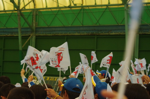 IMGP6096