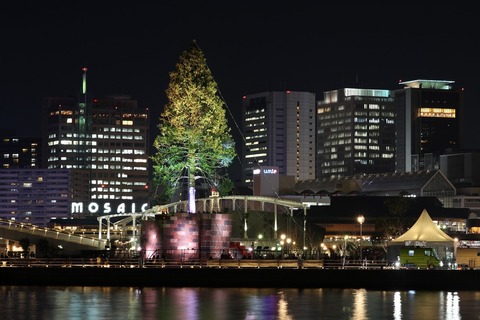 KobeTree01