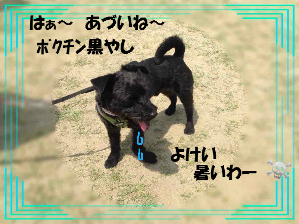 初の宝塚参戦apr22 18 3 不思議生物 ねね の留守番日記 初の宝塚参戦apr22 18 3 不思議生物 ねね の留守番日記