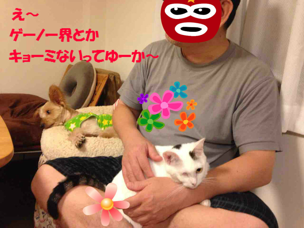 みんな Tv観てね 10月5日放送 ちちんぷいぷい 不思議生物 ねね の留守番日記 みんな Tv観てね 10月5日放送 ちちんぷいぷい 不思議生物 ねね の留守番日記
